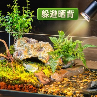 乌龟缸超白玻璃造景家用小别墅饲养箱带晒台养乌龟缸生态鱼缸