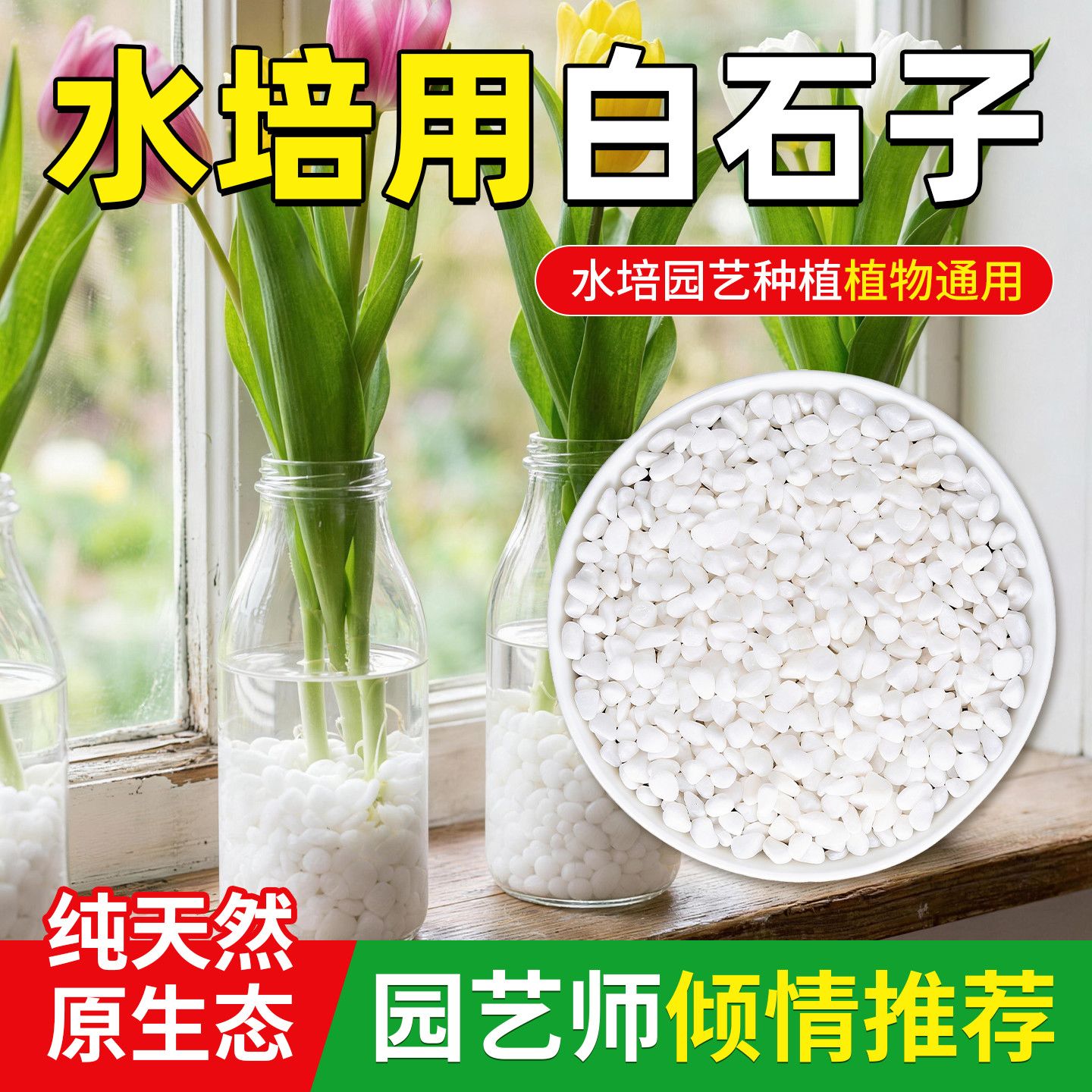 小颗粒白石子鹅卵石鱼缸造景免洗