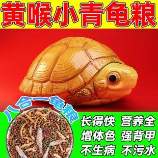 黄喉小青龟粮西非侧颈寸金拟水地图发色八合一高端饲料鱼虾干高钙