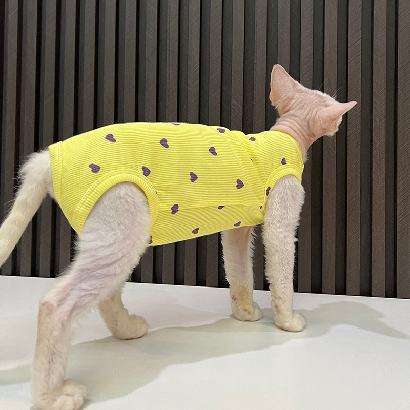 换季空调服防凉肚子四脚衣背心任发财无毛猫衣服斯芬克斯猫德文