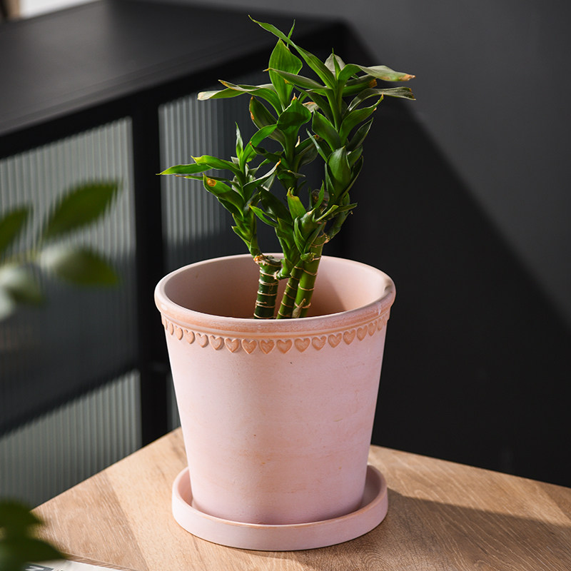 浮雕雾化白爱心红陶花盆庭院花园室内大号陶土盆透气透水绿植花盆,鲜花速递/花卉仿真/绿植园艺,花盆,淘宝优惠券,粉丝福利购,淘宝优惠卷