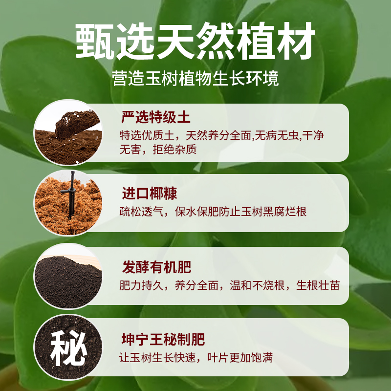 玉树专用土室内盆栽老桩植物营养土玉树专用肥料通用种植有机土壤