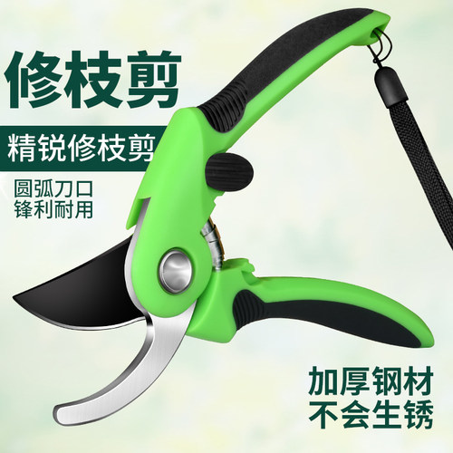 园艺剪树枝剪水果专用剪刀枝剪弹黄园林花艺修枝剪花省力剪子工具