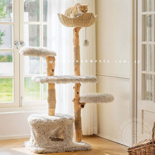 凯瑞暴暴虎实木藤编猫爬架猫窝猫树猫跳台猫玩具磨爪猫架子猫爬树
