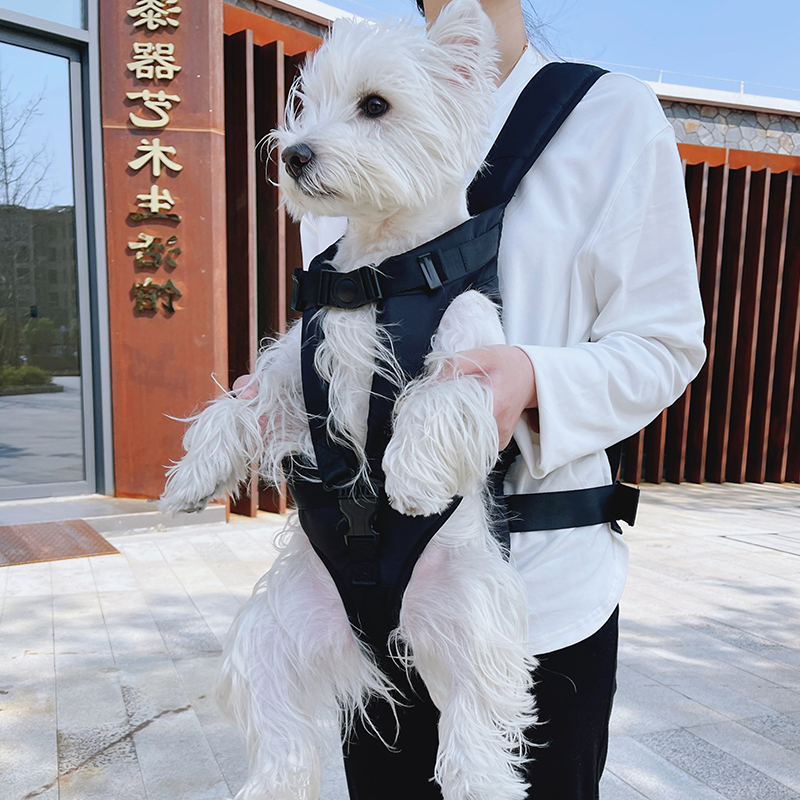 狗狗外出包宠物背包双肩便携包包坐电动车神器猫咪小狗小型犬遛狗