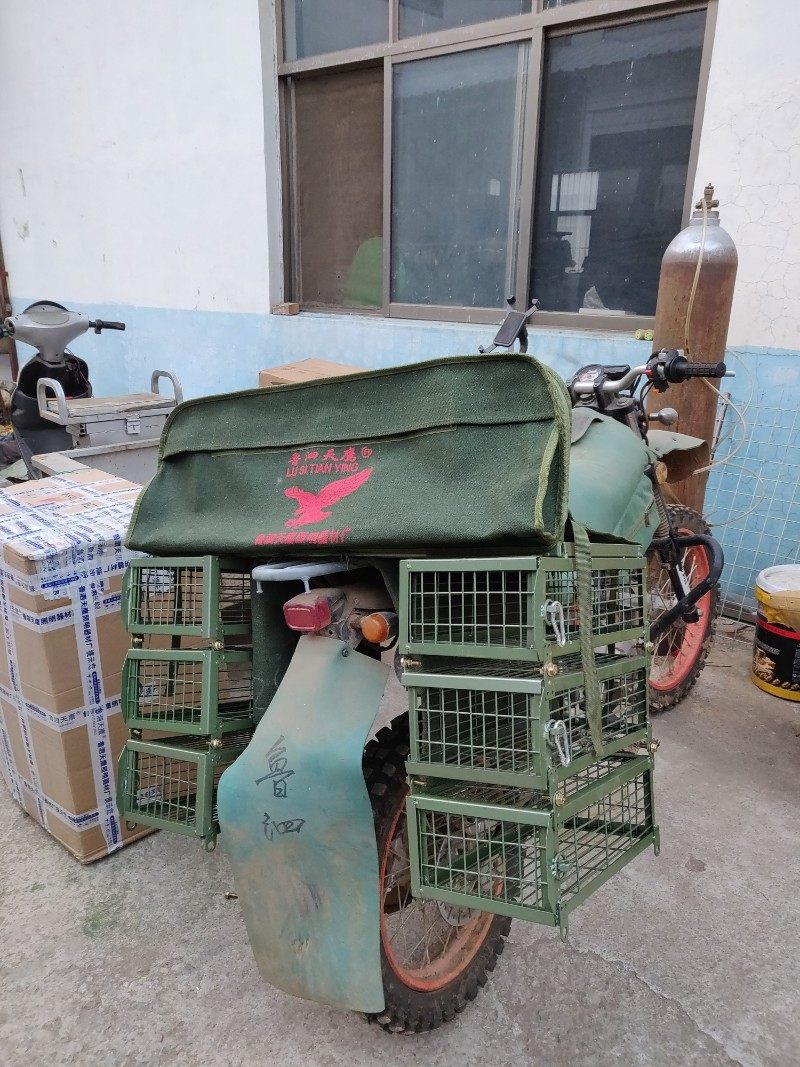 天鹰摩托车驮笼趴狗架叠加驮笼包工具包趴狗垫通用型兔笼折叠式笼,宠物/宠物食品及用品,兔笼,淘宝优惠券,粉丝福利购,淘宝优惠卷