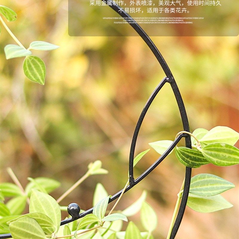 生长魔励盆栽藤蔓植物造型花架铁艺铁制花支架爬藤架雪莹绿萝花架,鲜花速递/花卉仿真/绿植园艺,花架,淘宝优惠券,粉丝福利购,淘宝优惠卷