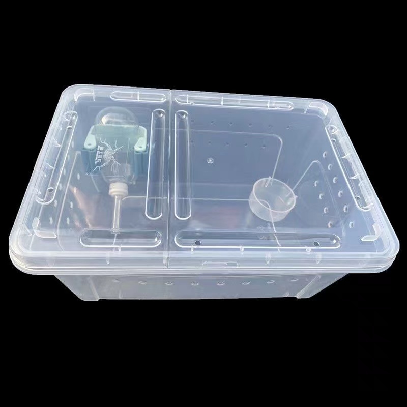 西班牙睡鼠花枝鼠仓鼠金丝熊饲养盒透明小窝用品养殖箱外带笼防逃