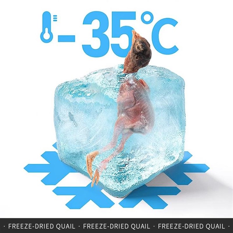 鹌鹑冻干狗狗零食增肥发腮成猫犬通用营养补钙磨牙洁齿全阶生骨肉