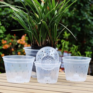 透明控根盆兰花水苔蝴蝶兰专用花盆塑料雨滴透气镂空花盆家用创意