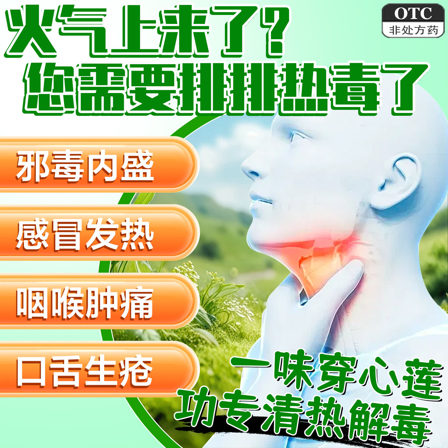老牌子穿心莲片40片 清热解毒凉血消肿邪毒内盛感冒发热咽喉肿痛