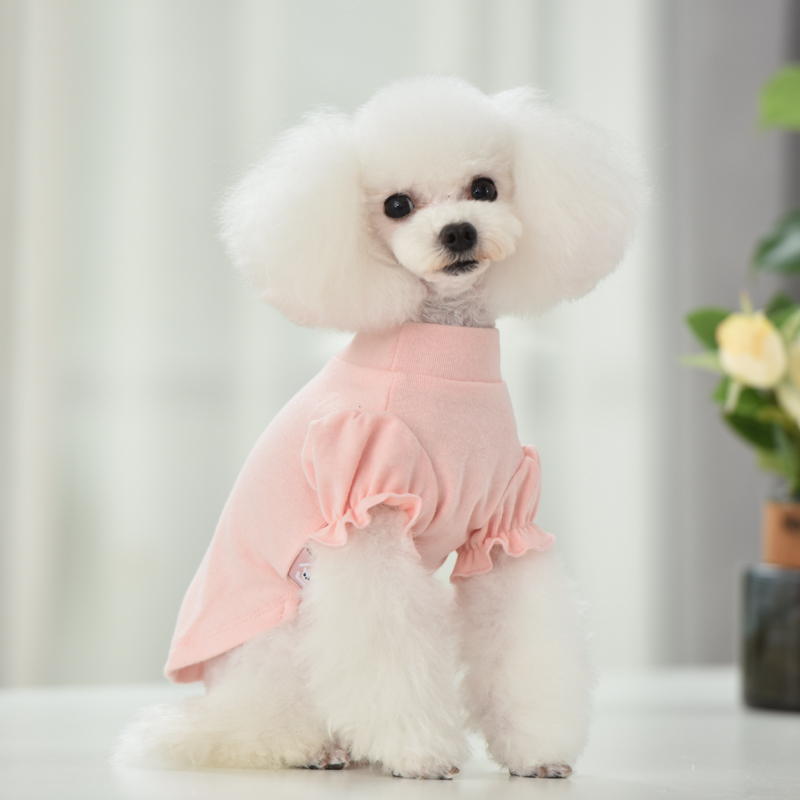 宠物衣服狗狗泰迪衣服春秋冬款装一斤茶杯小型犬幼犬比熊博美衣服