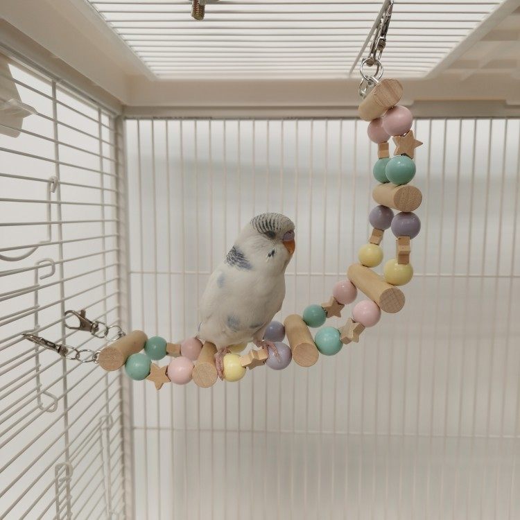 星星云梯子鸟笼梯子鹦鹉啃咬玩具用品玄凤牡丹鸟爬梯秋千啃咬攀爬,宠物/宠物食品及用品,鸟玩具,淘宝优惠券,粉丝福利购,淘宝优惠卷