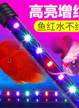 小鱼缸灯led灯防水超亮照明灯鹦鹉的灯管灯光彩色龙鱼灯管三基色