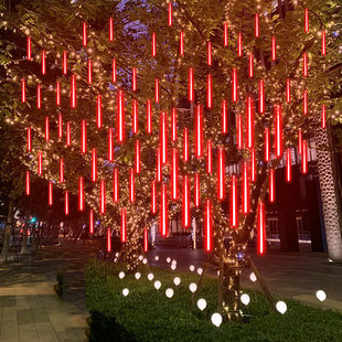 挂树led流星雨彩灯闪灯串灯满天星户外防水庭院室外亮化街道夜景