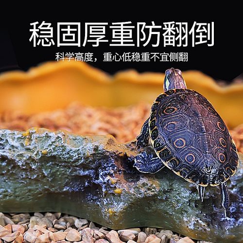 爬宠食盆蜥蜴陆龟角蛙专用泡澡盆饲养箱造景装饰守宫宠物蛇饮水盆