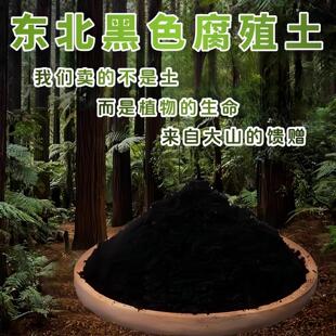 东北黑泥土林下有机土腐殖土养花种菜育苗通用营养土腐殖黑营养土