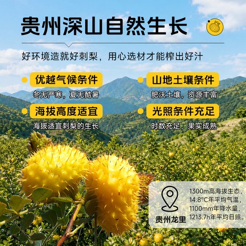 朔农刺梨原浆官方旗舰店贵州特产