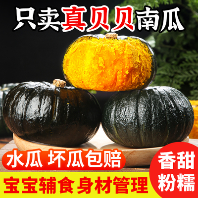 朔农宁夏新鲜贝贝南瓜现摘