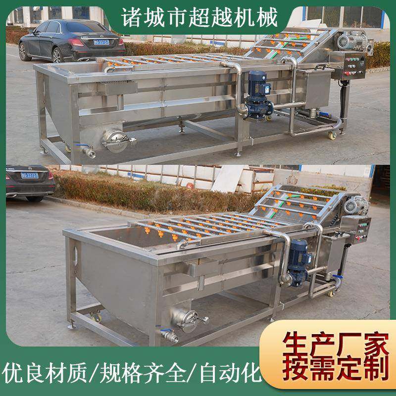 实体厂家推荐果蔬清洗机全自动翻浪式气泡清洗机大枣蔬菜洗菜机