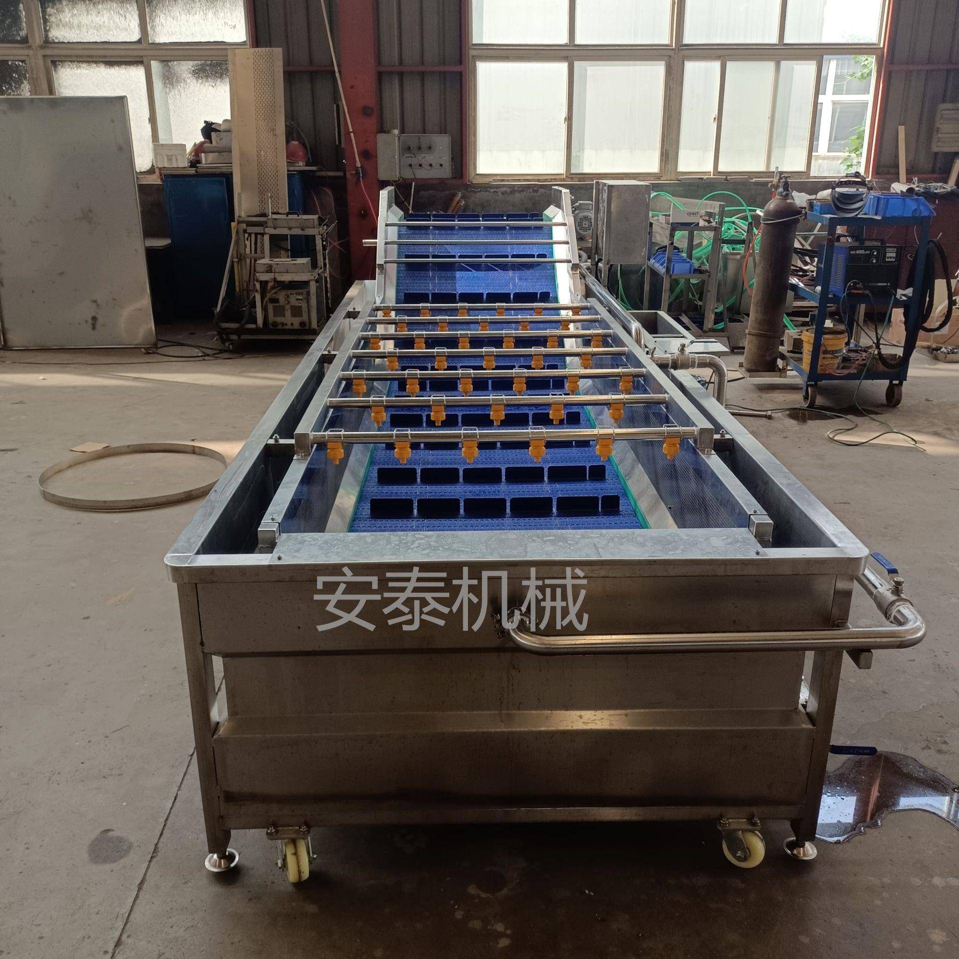 杨梅气泡清洗机白果气泡清洗机银杏果水浴连续清洗机现货包安装