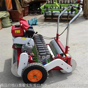 双排蔬菜播种机 蔬菜点播机 六行香菜萝卜种植精播机 汽油自走式