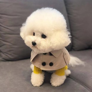 小风衣宠物外套泰迪比熊博美雪纳瑞猫咪小型犬狗狗衣服英伦 秋冬装