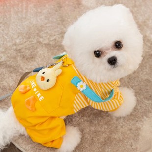 泰迪比熊博美猫咪卫衣宠物用品牵引新款 狗狗衣服秋冬款 太迪春天