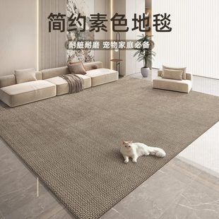 轻奢地毯高级客厅地垫卧室简约风毯子防滑沙发地毯耐脏垫子茶几垫