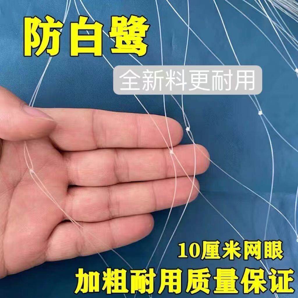 鱼塘防鸟网果园防大型鸟类养殖场防护网大网孔尼龙网天网养殖网具