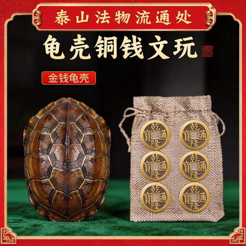 干隆铜钱六爻摇卦工具算挂摆件天然乌龟壳真龟甲文玩客厅玄关