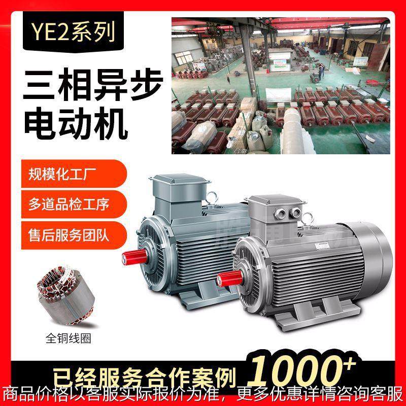 YE3系列微型马达3W 100L2-4极铜线电机刹车马达三相异步电动机,五金/工具,电动机,淘宝优惠券,粉丝福利购,淘宝优惠卷