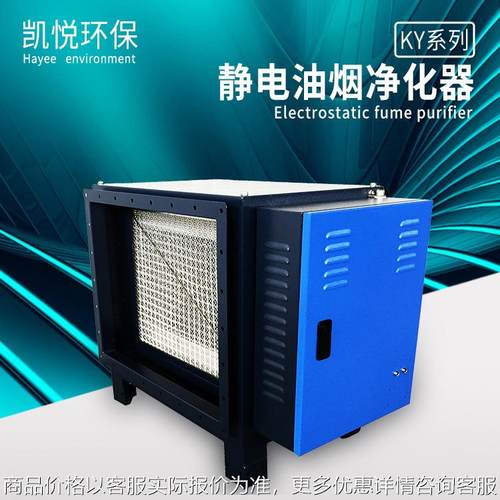 静电式餐饮油烟净化器烧烤 酒店 厨房 油烟净化设备 油烟净化器