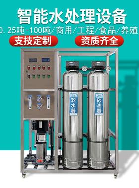 净水设备0.25吨反渗透纯水设备食品厂洗涤厂除垢去离子水处理设备