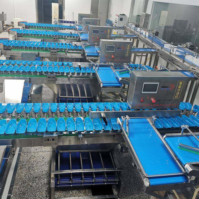 自动检重秤重量分选机水果称重分拣鱼虾金鲳鱼牡蛎分选机自动分级,清洗/食品/商业设备,其他食品加工设备,淘宝优惠券,粉丝福利购,淘宝优惠卷