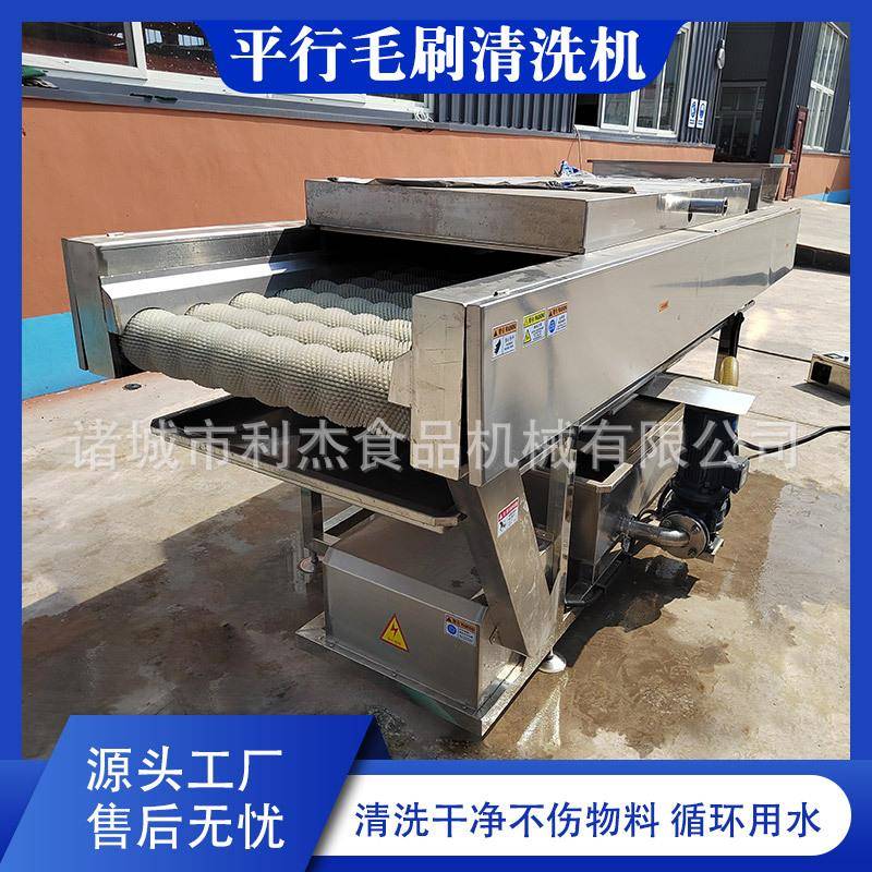 供应红薯毛刷清洗设备红枣滚动清洗去泥机海蛎子毛辊清洗机优惠