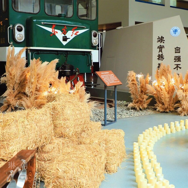 天然草垛稻草造景芦苇干花室内外主题创意景观田园风露营装饰摆件
