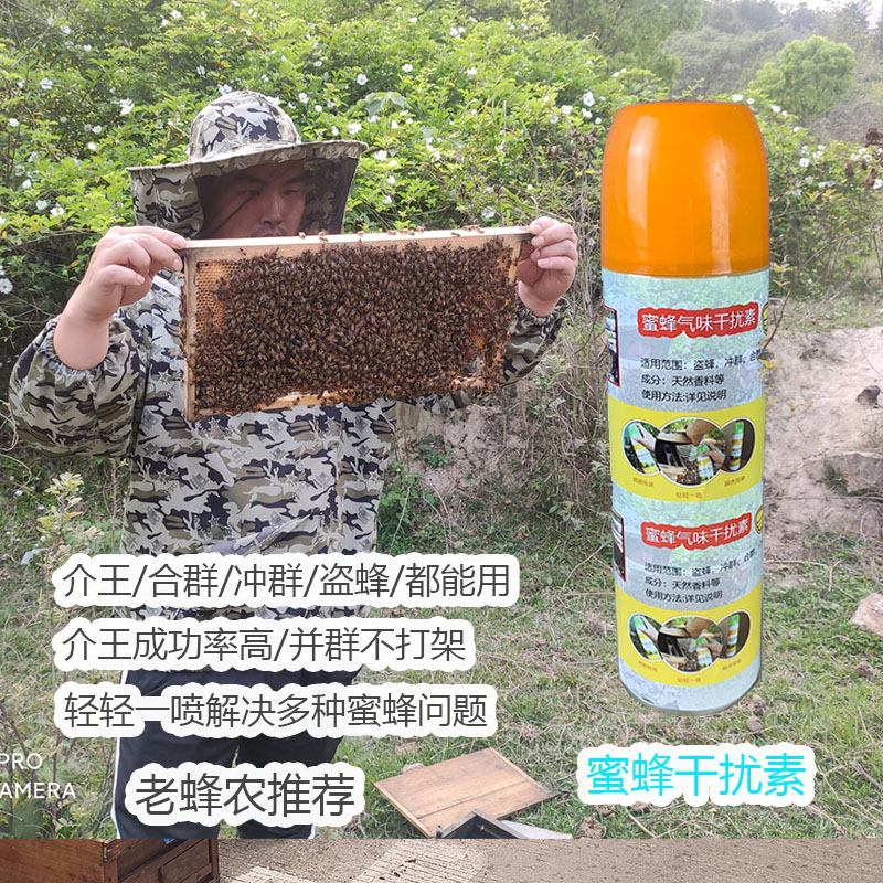 蜜蜂气味干扰素蜂王合群液群味消减中蜂和群剂介王并群防打架