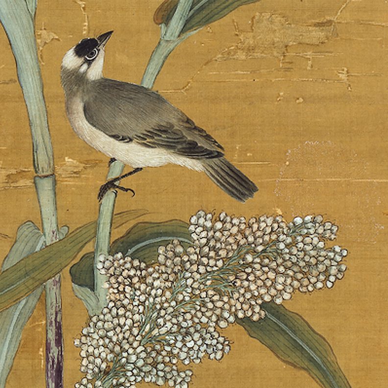 四瑞庆登 心笔传统画临摹绢锡画工布中式装饰画蒋廷艺术画鸟稿 花