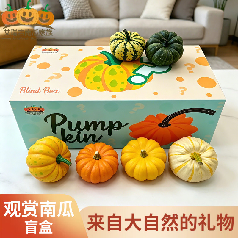 艾瑞吉南瓜家族观赏南瓜盲盒新鲜南瓜摆件迷你玩具小南瓜装饰文玩