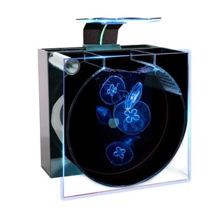 网红樱桃水母缸O12鱼缸水族箱12升摆摊展示缸桌面专业水母养殖缸