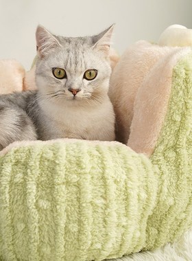 网红猫窝狗窝柔软舒适四季通用仙人掌猫窝紫色绿色猫咪狗用品玩具