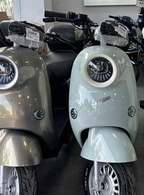 适用电动车绿源ZOF铝实心扶手尾架后尾箱备箱支架拓展长衣架货架