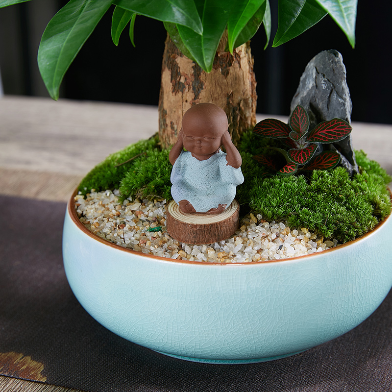 发财树盆栽植物室内四季绿植好养易活客厅办公室花卉乔迁新居盆景