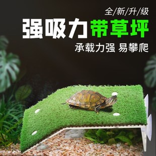 乌龟晒台爬台晒背台鱼缸爬梯台阶休息平台龟台吸盘乌龟晒台高水位