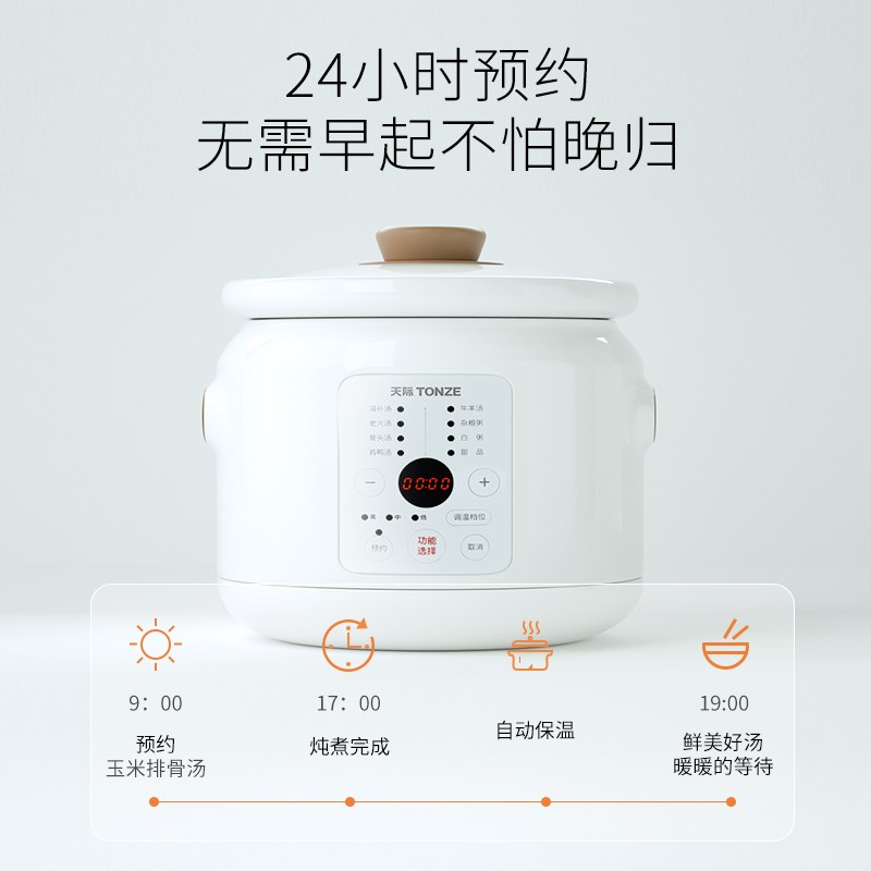 天际2L/3L/4L/5升白瓷电炖锅宝宝煮粥煲汤家用炖盅甜补品预约定时
