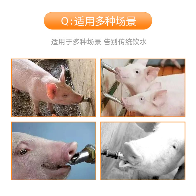 猪饮水嘴猪用饮水器自动喝水器喂水器养殖场养猪设备防喷溅