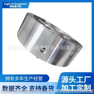 能源电厂汽前置泵HZB330-790A泵用机械密封博格曼机械密封件现货