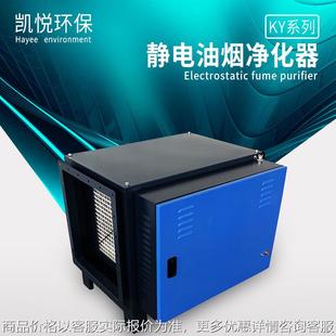 铁板烧烤油烟净化器 烤肉炭烧油烟 烧烤油烟净化器 烤串油烟