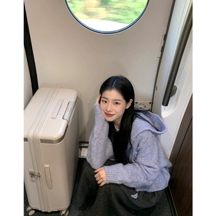 慵懒感绞花双拉链连帽针织开衫毛衣女新款纯欲风宽松显瘦短款外套